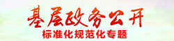 基層政務(wù)公開